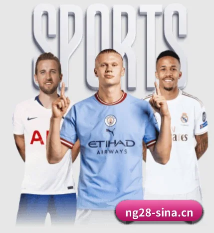 南宫28 APP - NANGONGCLUB